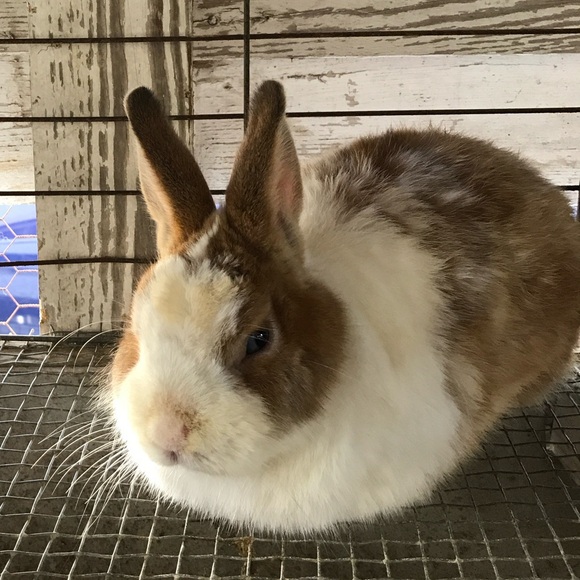 Hop on in for Added Discounts! - Picture 9 of 16